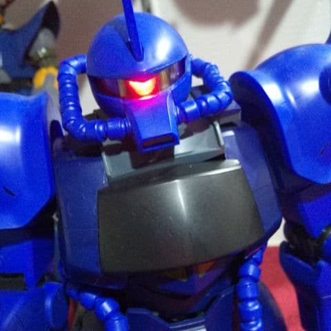 1/60　　グフ　　約31cm　　モノアイ点灯確認済み