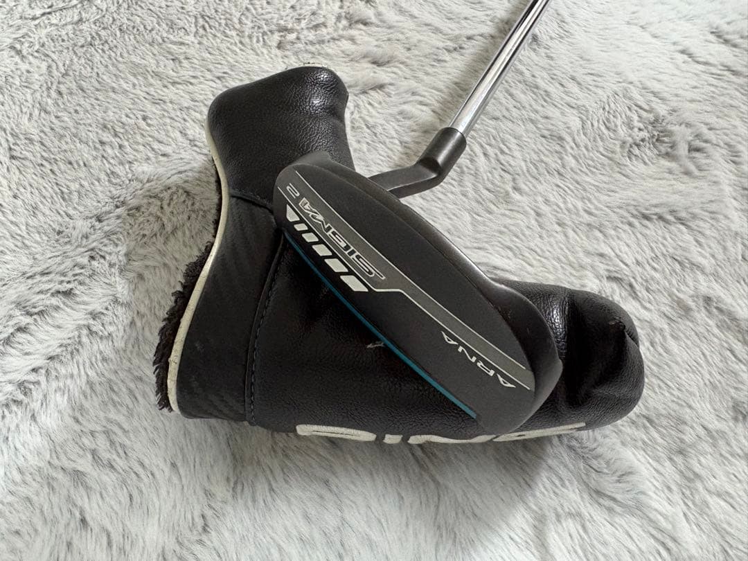 Ping SIGMA2 パター