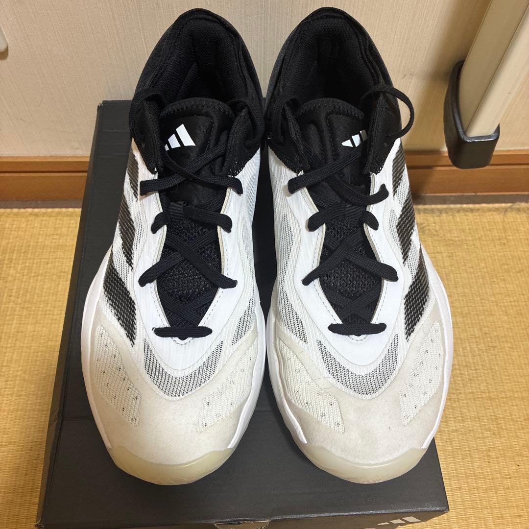 大人気、adidasバスケットシューズ