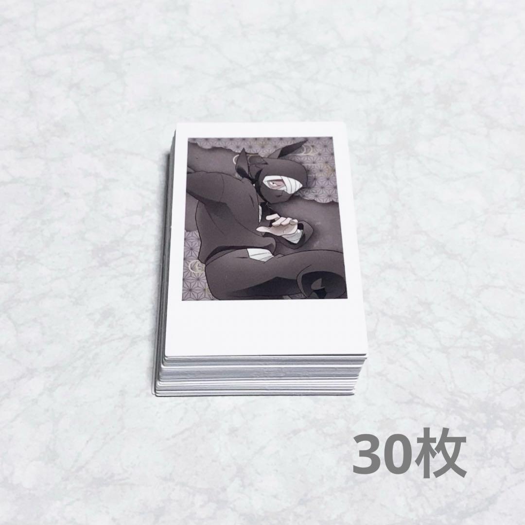 忍たま 忍たま乱太郎 ポラショット 体験展 30枚セット