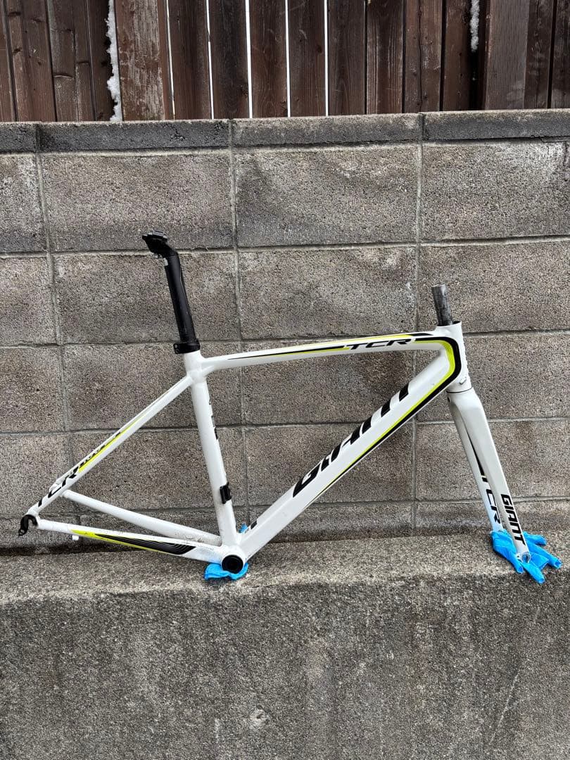 Giant TCR1フレーム