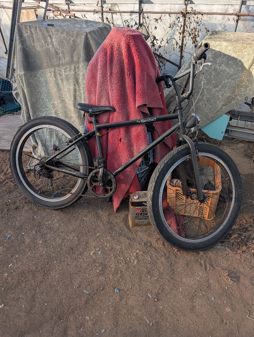 ファットバイク