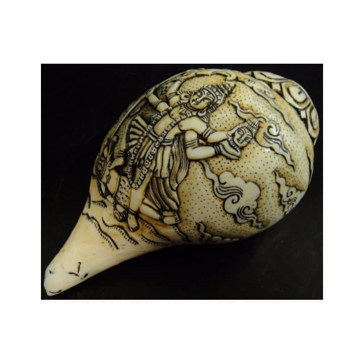 ◆チベット密教法具　法螺貝（シャンカ）カーリー