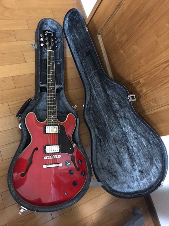 メイソン　ハードケース付‼️