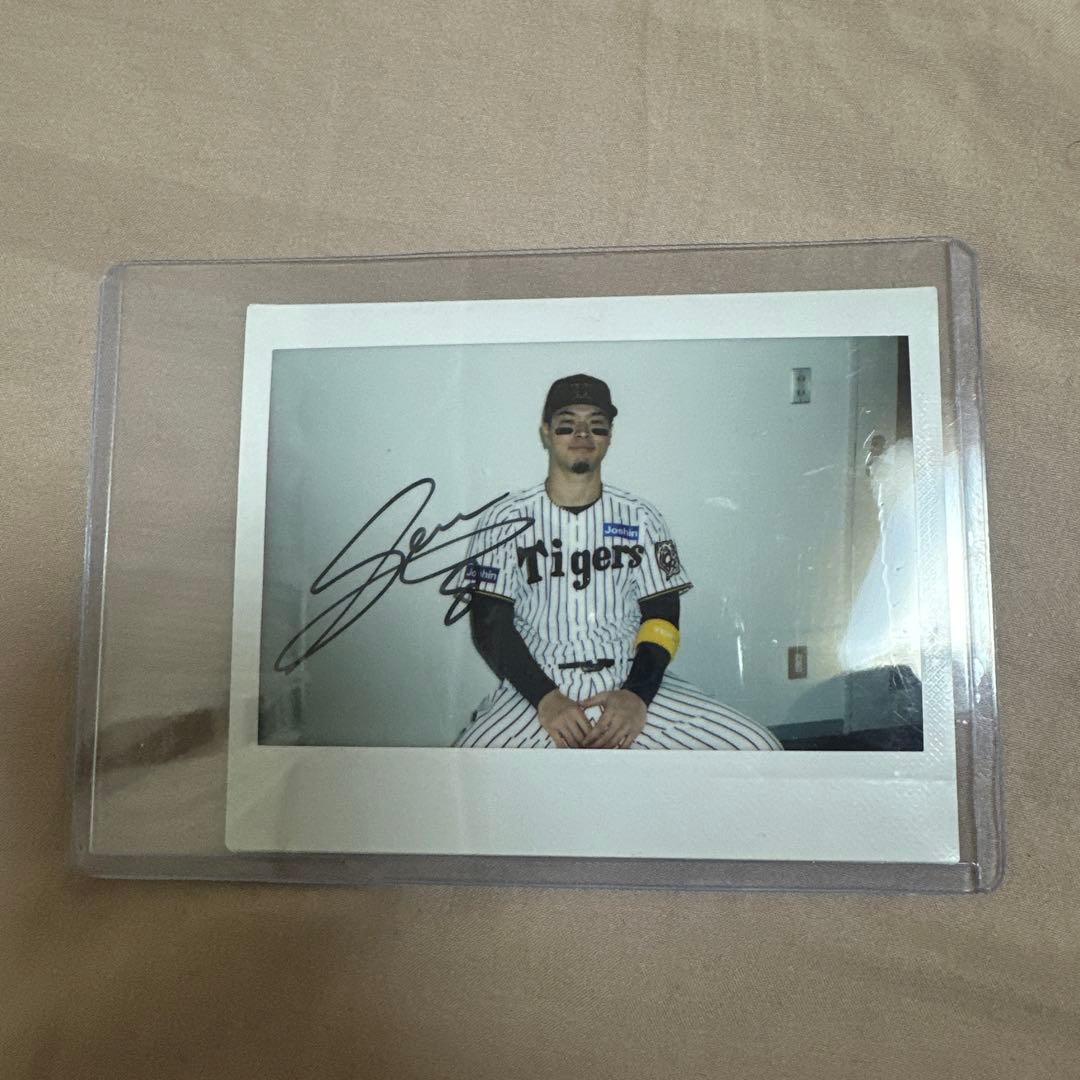 阪神タイガース 佐藤輝明 直筆サイン入りチェキ