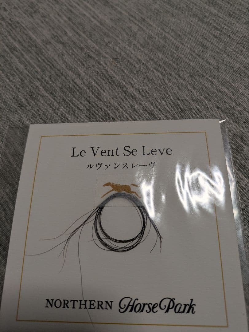 ルヴァンスレーヴ　たてがみ