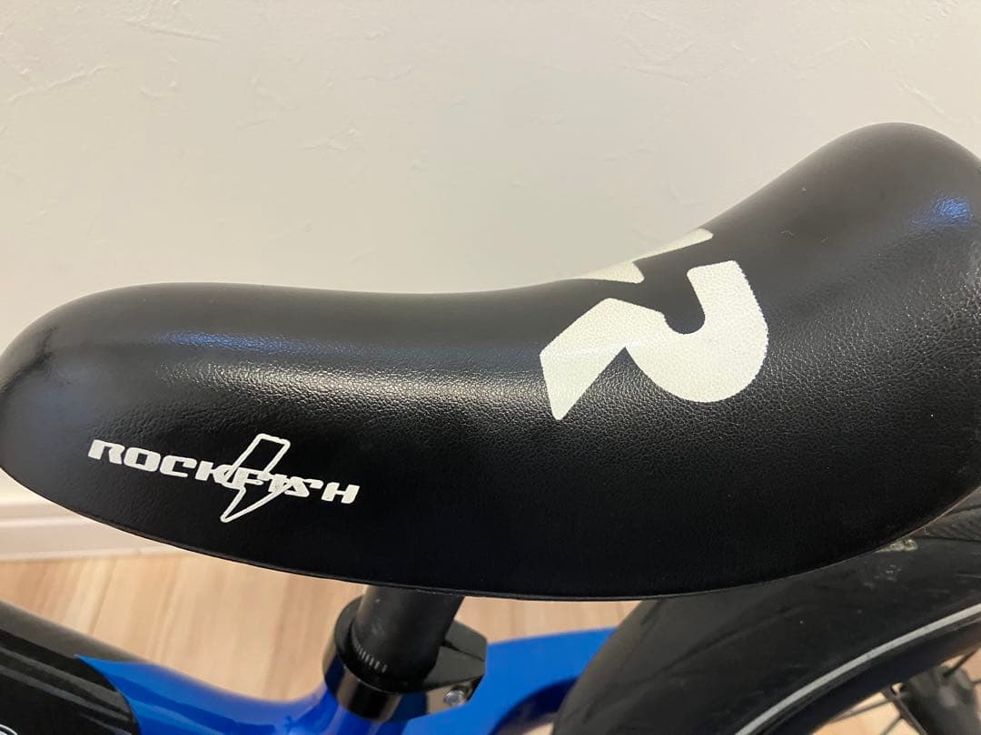 STRIDER ストライダー ST-R フルカスタム