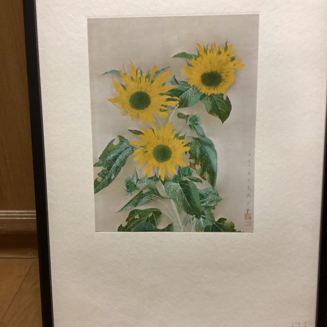 天才画家　速水御舟大作編　便利堂監修　画集NO 12 【向日葵　大正11年作】