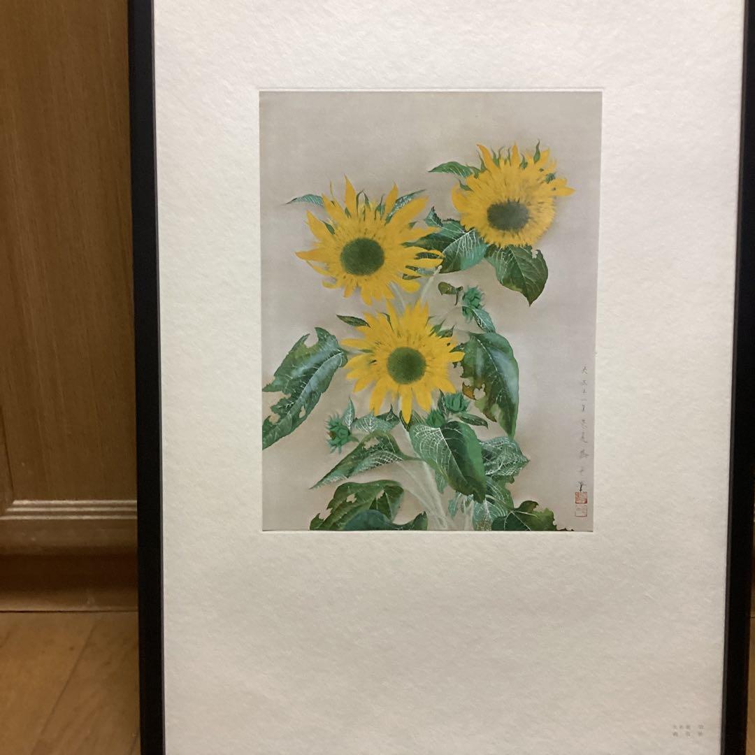 天才画家　速水御舟大作編　便利堂監修　画集NO 12 【向日葵　大正11年作】
