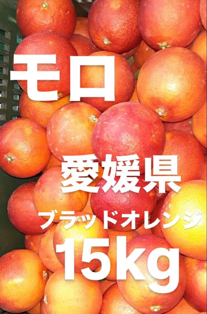 愛媛県産　ブラッドオレンジ　モロ　柑橘　15kg