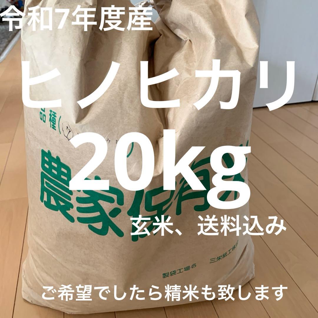 令和7年度産　新米ヒノヒカリ玄米20kg(送料込)減農薬のお米