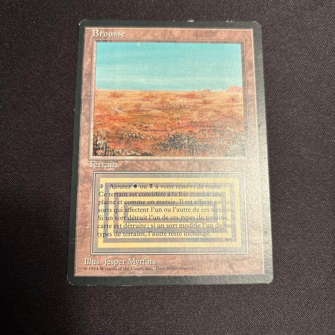 FBB Scrubland フランス語