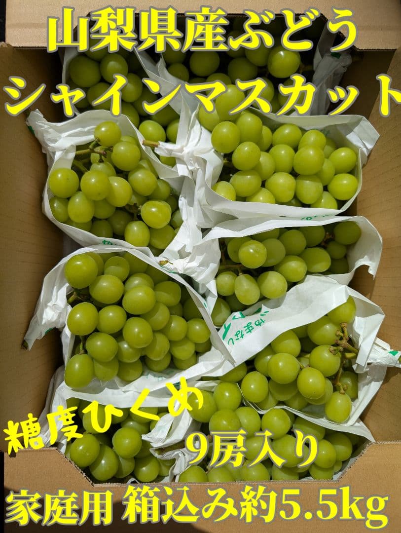 山梨県産ぶどう　シャインマスカット　9房入り箱込み約5.5kg