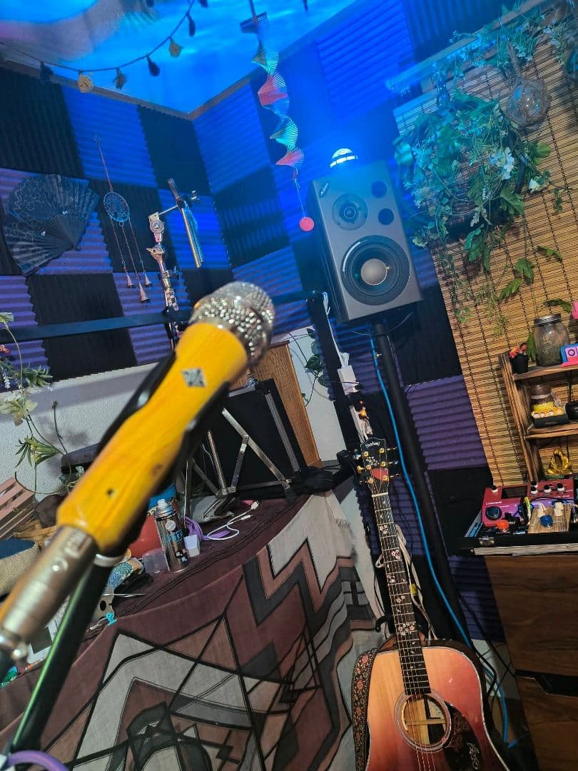 TELEFUNKEN　M80 ダイナミックマイク