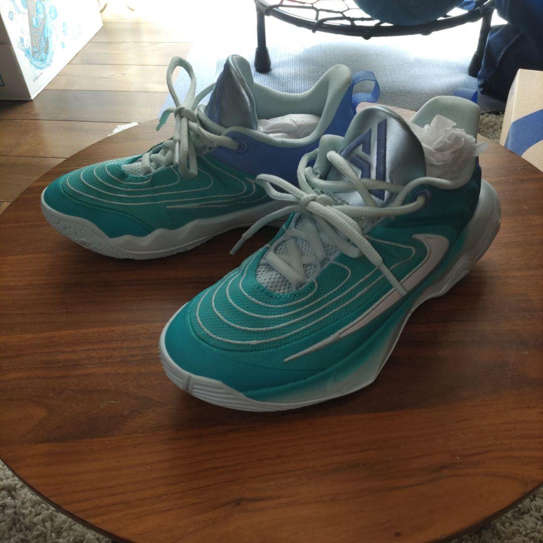 Nike バスケットボールシューズ ティール/ブルー　ヤニスイモータリティ4