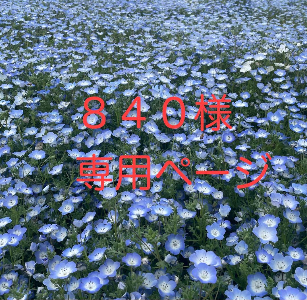 840　10台セット　Self Trimmer USB充電式 38mm