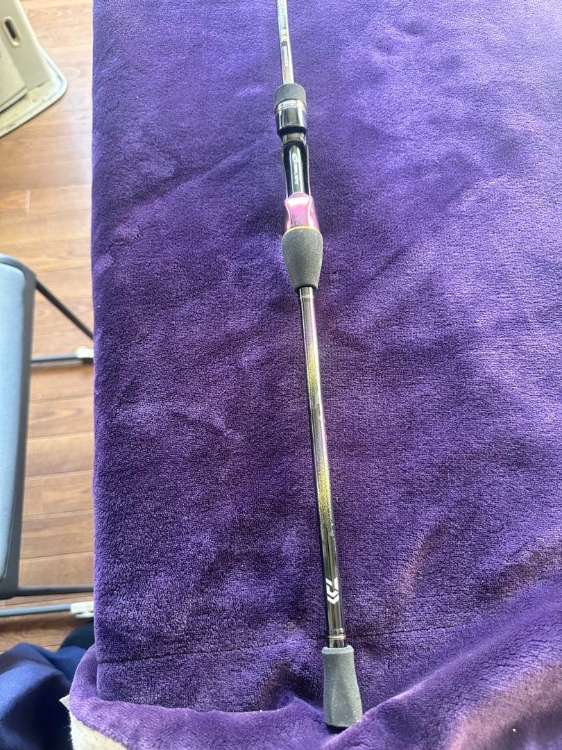 ダイワ極鋭EX SF