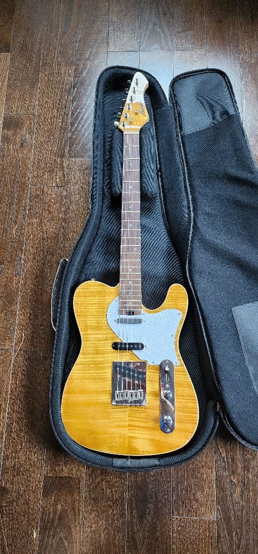 Aria ProII エレキギター 615-AE200