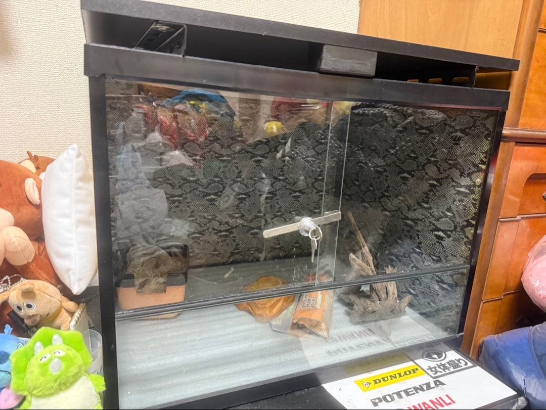 中型ガラス温室・ショーケース