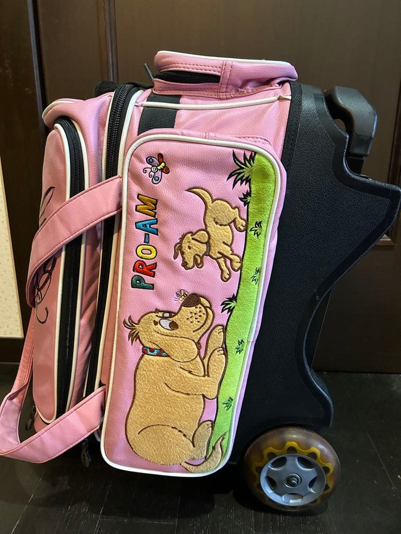 ABSボーリングキャリーバッグと付属品　中古品