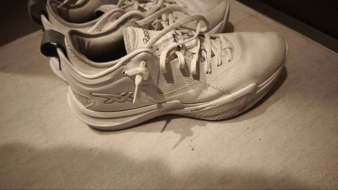 シューズ(男性用) ASICS Nova Surge 2 Low