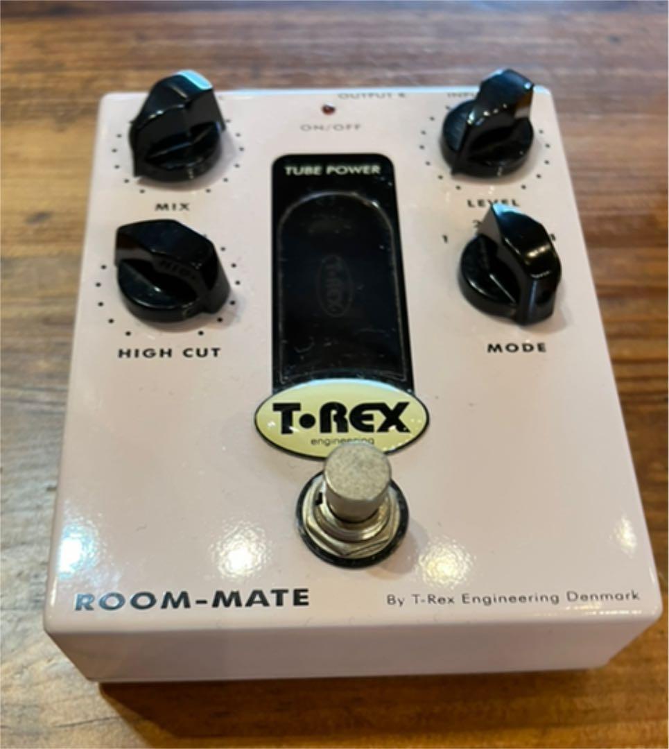 *【希少】T-Rex Room-Mate ティーレックス ルームメイト