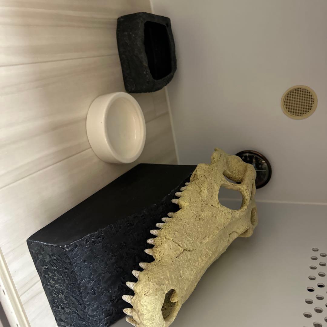 ポポのケージ爬虫類・両生類用飼育ケージ