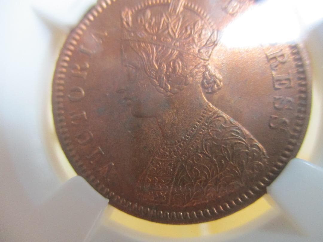 1880 英領インド　ヴィクトリア女王　1/4 アンナ銅貨　NGC MS64