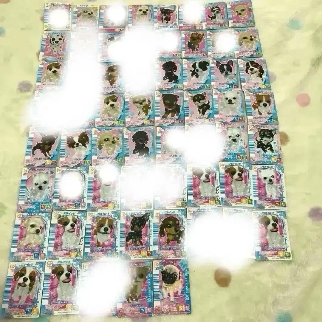 ワンタメ　カード　パピーカード