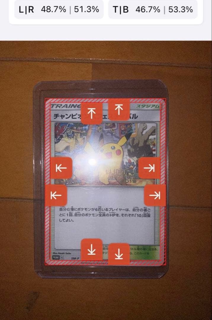 完美品　チャンピオンズフェスティバル　2019 ピカチュウ