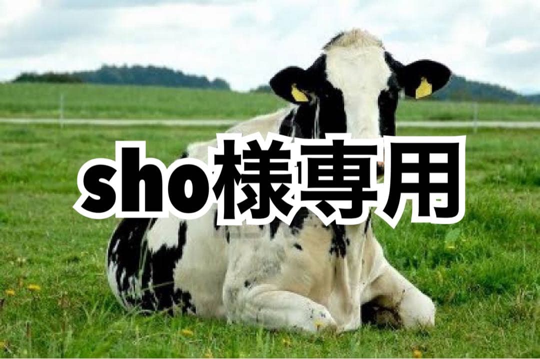 サックス.グレー.濃ピンク.ターコイズ.ピンク