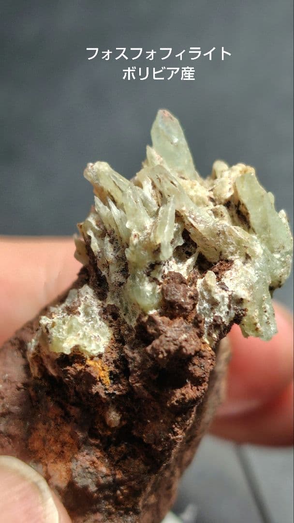 フォスフォフィライト　ボリビア産　1176