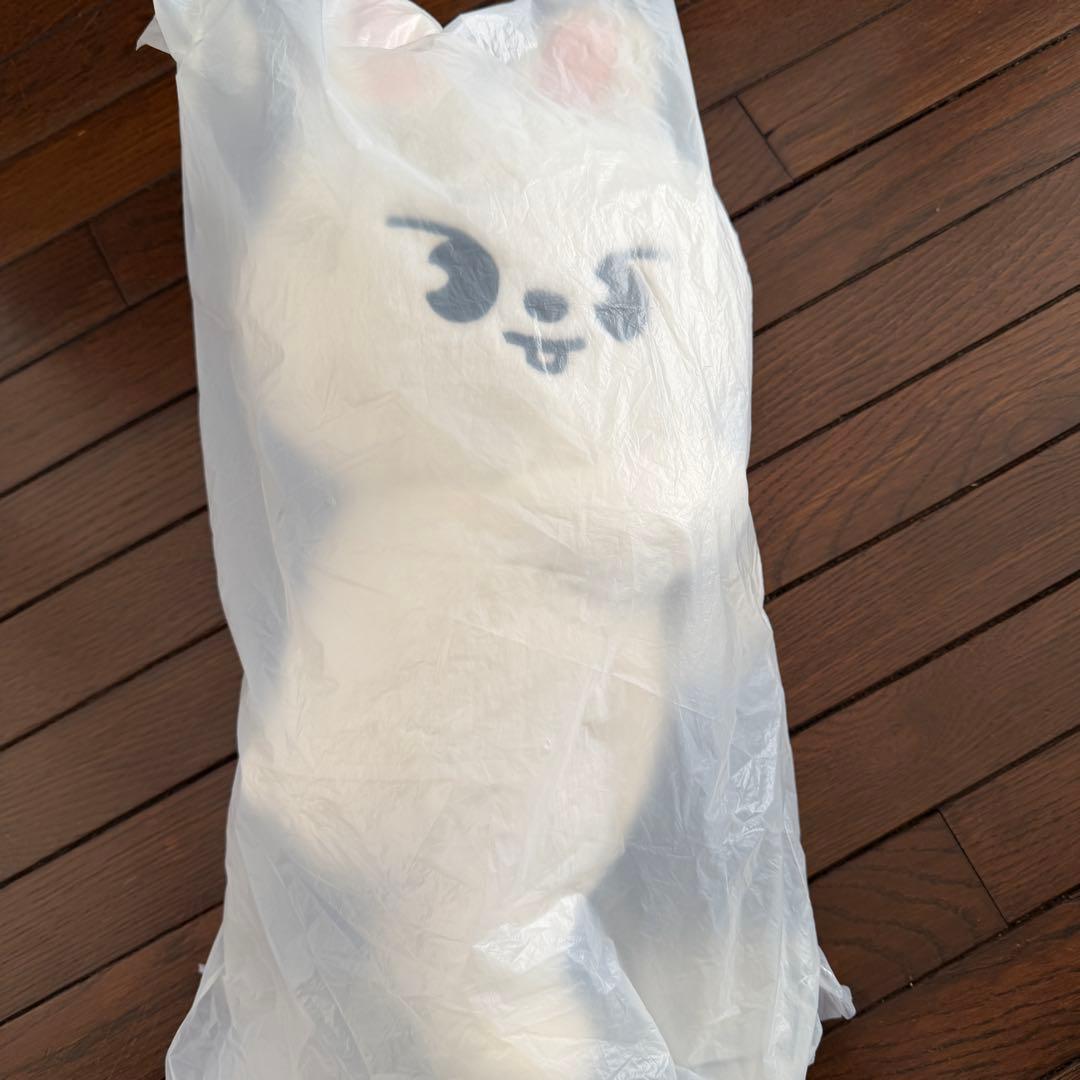 straykids celebrATE プラッシュバッグ リービット リノ