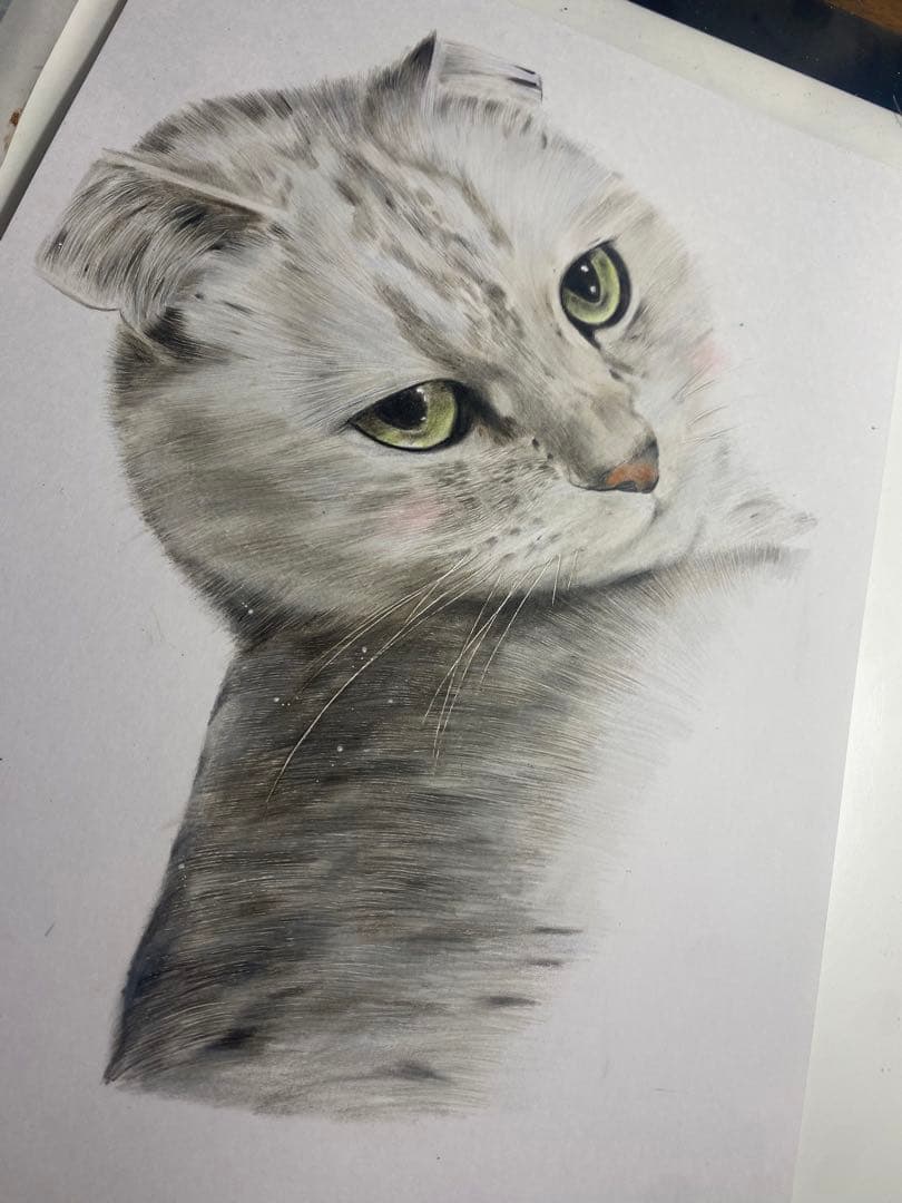 ペットの似顔絵オーダー　猫