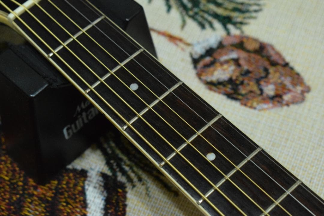 Aria Meister AMS-01BS アコギ