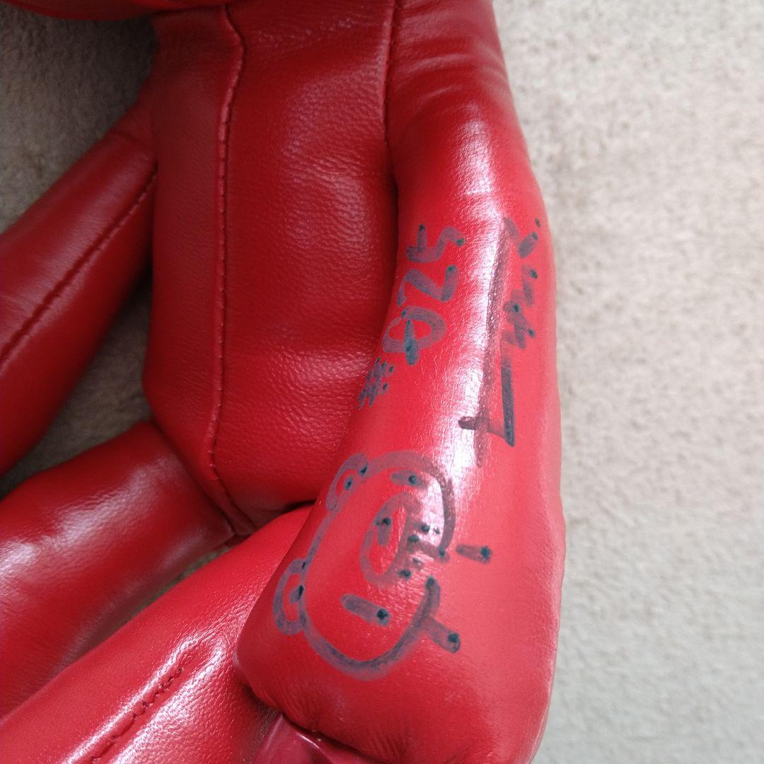 レザーぬいグルーミー　5周年　100体限定　赤　レッド　サイン入り　森チャック