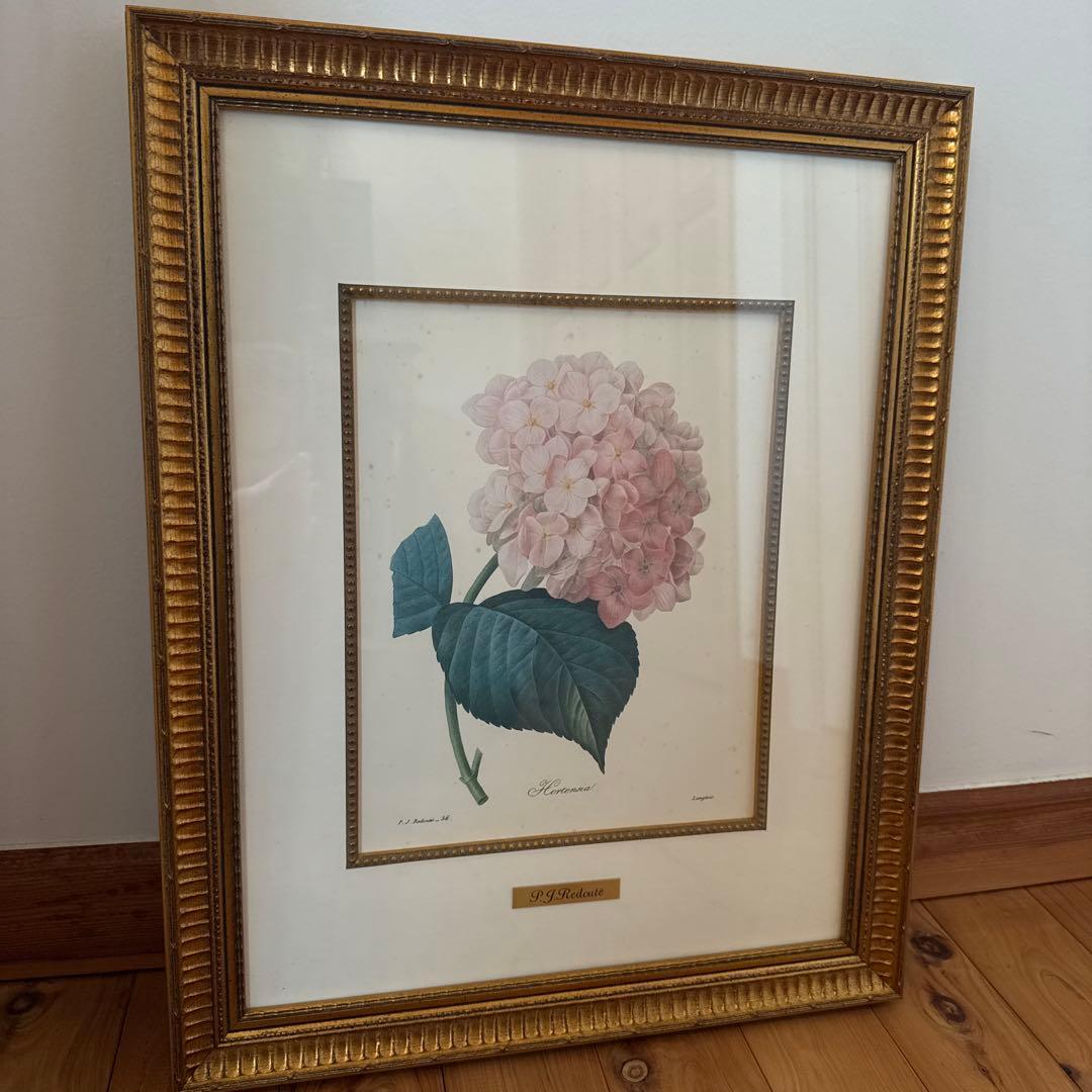 ルドゥーテ　Hortensiaあじさい