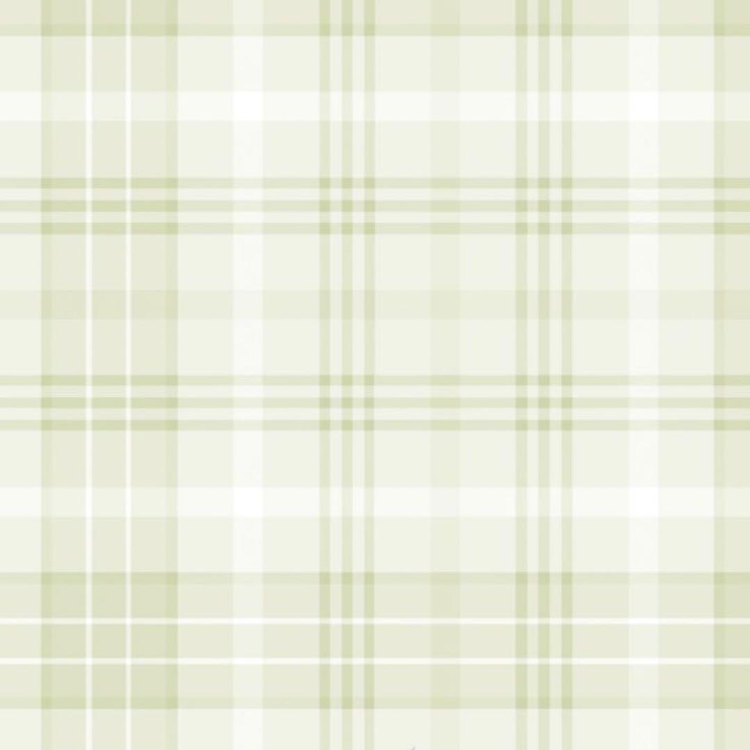 巴日和 缶バッジ テーマスカウト