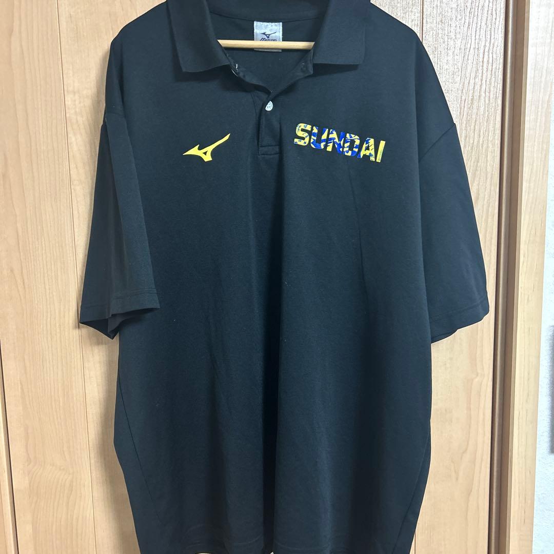 駿台学園　SUNDAI ポロシャツ　最終値下げ