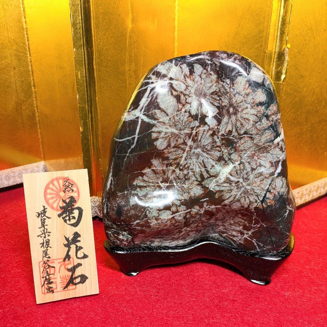 菊花石 岐阜県根尾谷産2.0㌔ 鑑賞石 観賞石 水石 盆石 天然石 置物