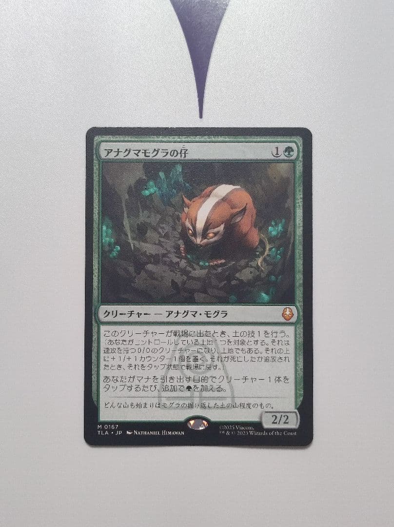 アナグマモグラの仔 Badgermole Cub