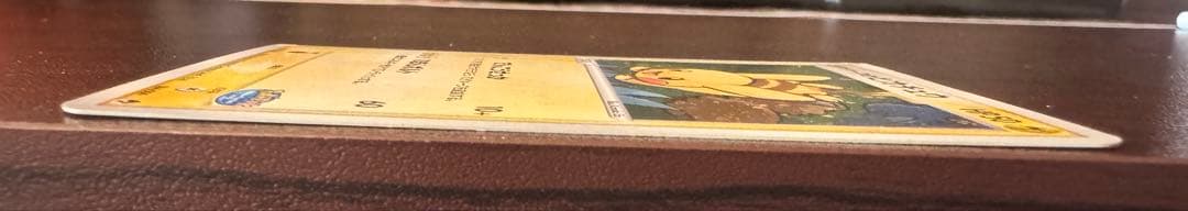 ポケパークのピカチュウ