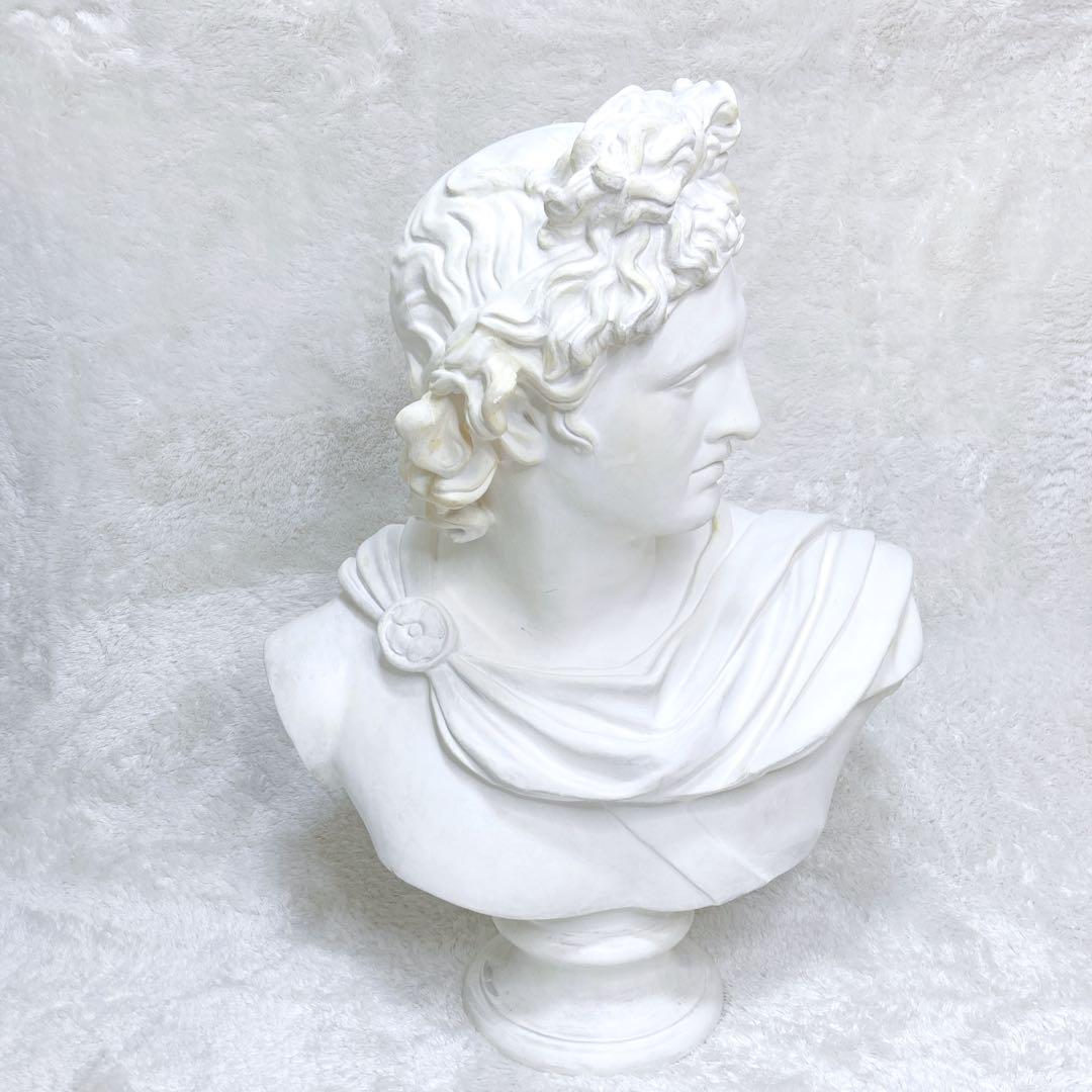 【石膏像】アポロン アポロ デッサン 大サイズ 胸像 美術 教材 日本製 入試