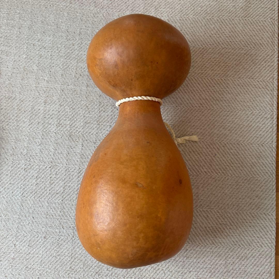 イプヘケ　約60センチ