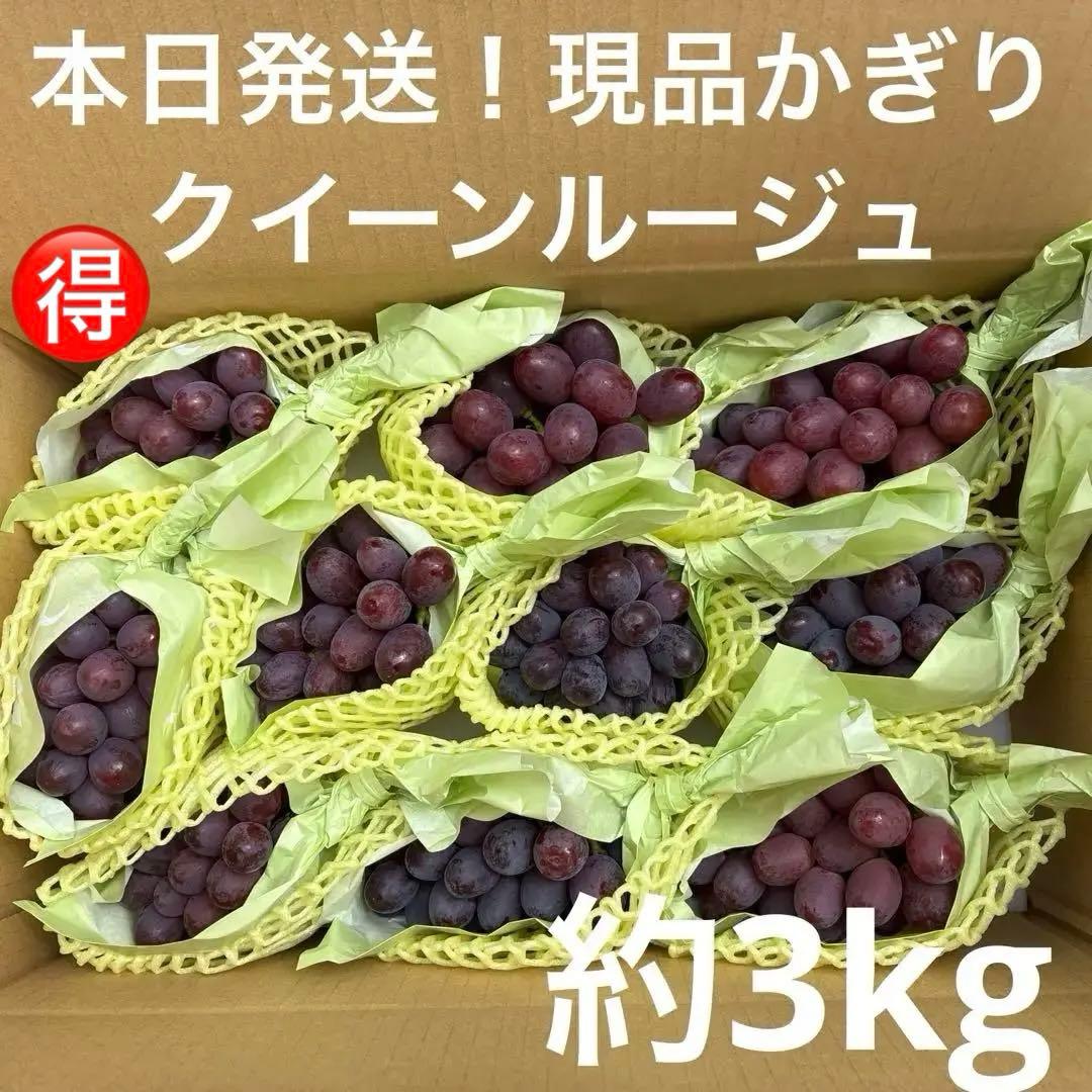 本日発送！クイーンルージュ3kg現品限り訳ありお得ご家庭用に