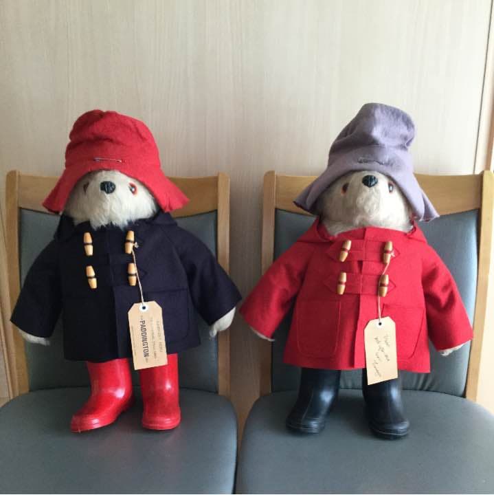 パディントンベア