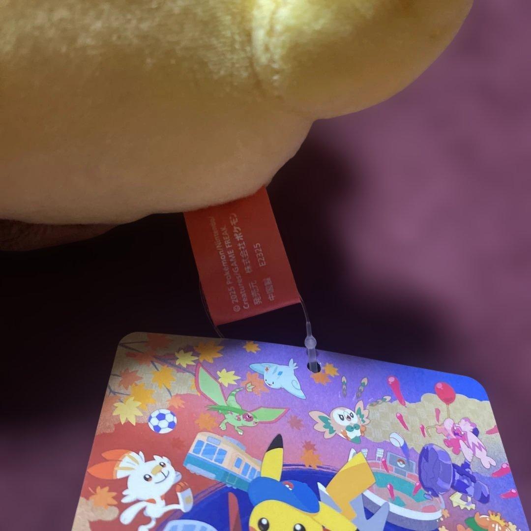 ポケモンセンターヒロシマ ぬいぐるみ　2点セット　広島限定　新品未使用