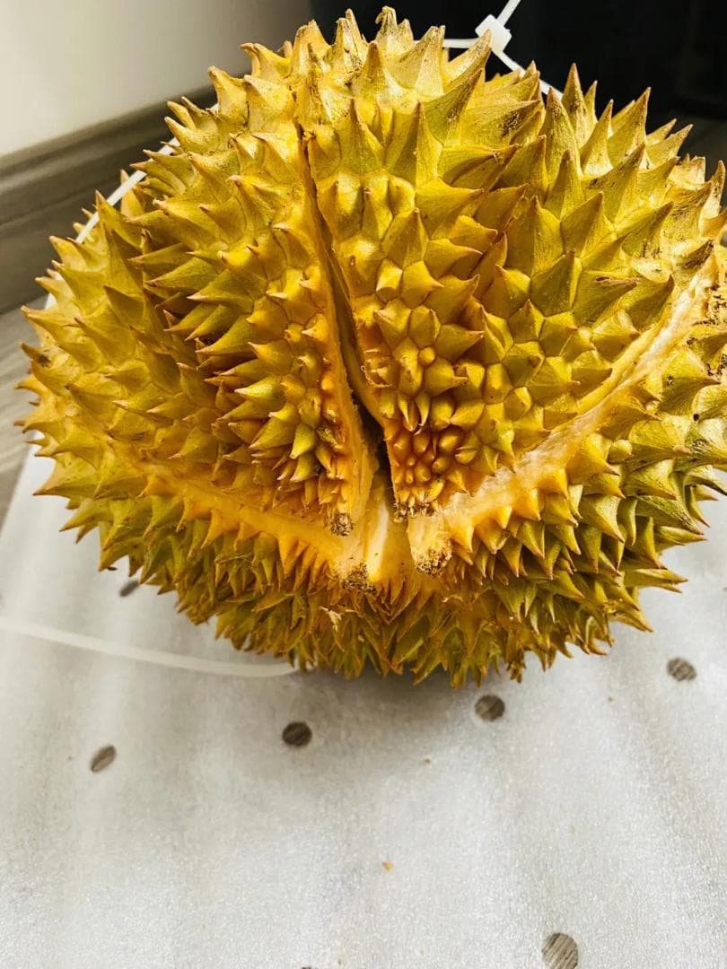 年明特売+即日発送（タイ産ドリアン　泰国榴莲　5玉セット）送料無料+数量限定