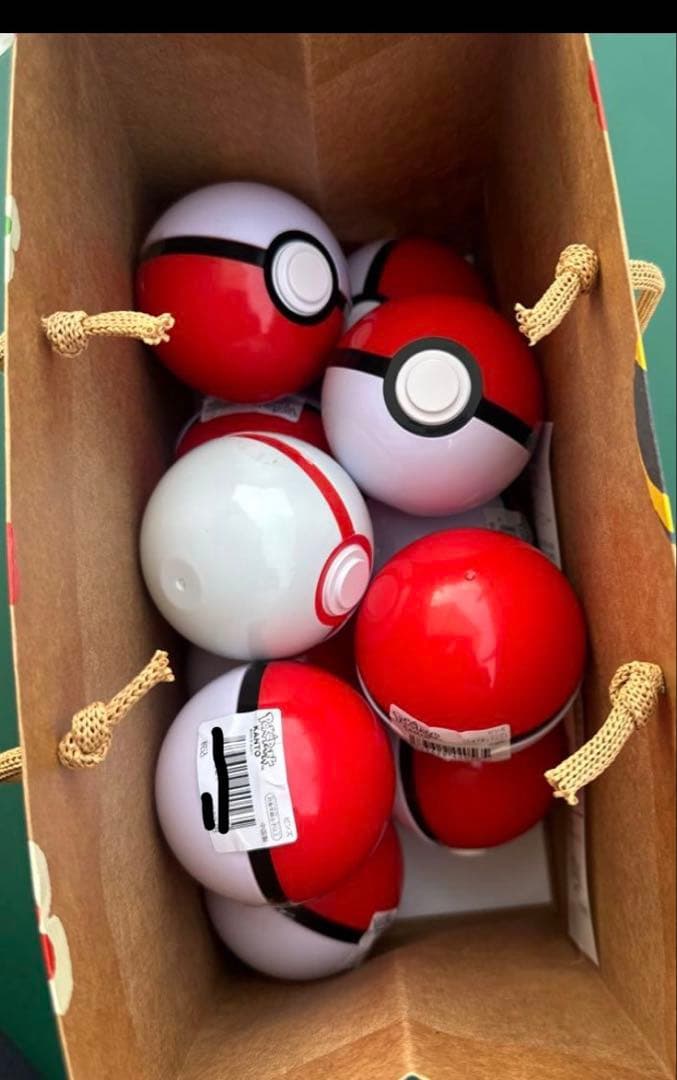 【未開封】ポケパークカントー　ピンバッチ未開封10個+プレミアボール　+限定紙袋