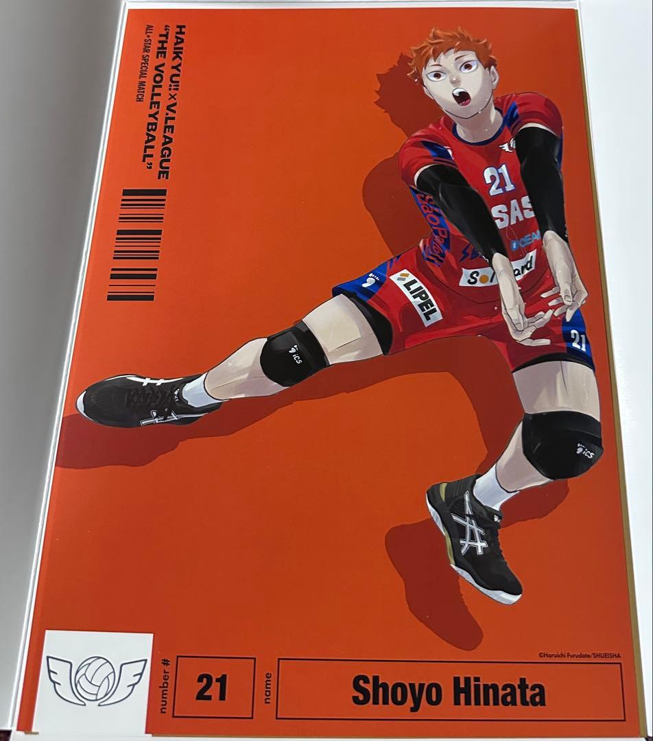 ハイキュー　Vリーグ　日向翔陽　A4ポスターコレクション